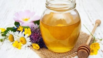 العسل متعدد الأزهار يفتح آفاقاً جديدة لحماية البشرة من أضرار الأشعة والشيخوخة