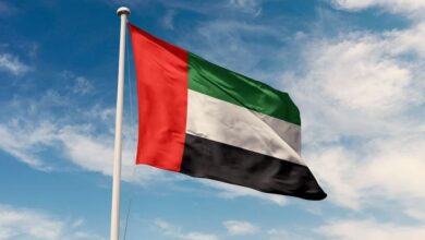 الإمارات تدين استهداف سفينتين في ميناء دمياط وتؤكد دعمها الكامل لمصر 7 الإمارات تدين استهداف سفينتين في ميناء دمياط وتؤكد دعمها الكامل لمصر
