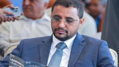 وليد القديمي: تهامة تقدم فاتورة باهظة من دماء أبنائها دفاعًا عن الوطن