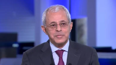 نائب وزير الخارجية: باب المندب سيظل مفتوحاً رغم تهديدات مليشيا الحوثي