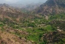 مليشيا الحوثي تقصف مزارع الأزارق في الضالع بالهاون وتثير الذعر بين الأهالي