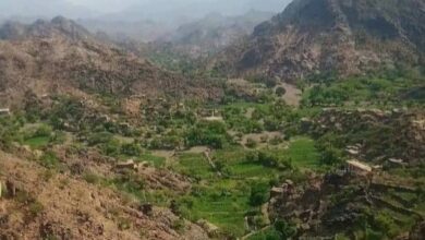 مليشيا الحوثي تقصف مزارع الأزارق في الضالع بالهاون وتثير الذعر بين الأهالي
