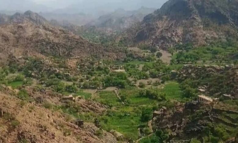 مليشيا الحوثي تقصف مزارع الأزارق في الضالع بالهاون وتثير الذعر بين الأهالي 1 مليشيا الحوثي تقصف مزارع الأزارق في الضالع بالهاون وتثير الذعر بين الأهالي