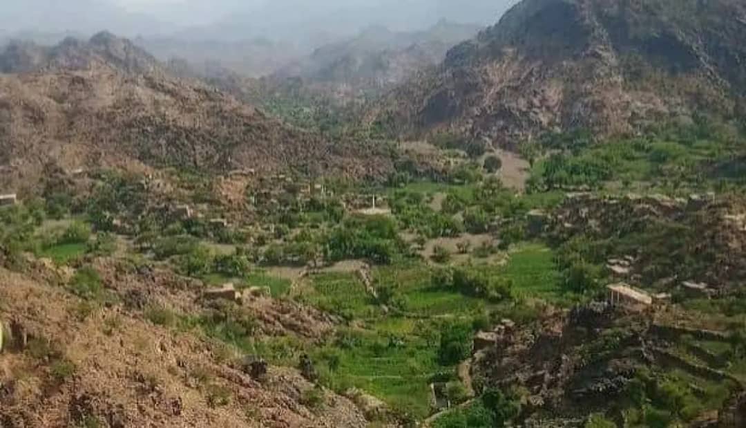 مليشيا الحوثي تقصف مزارع الأزارق في الضالع بالهاون وتثير الذعر بين الأهالي