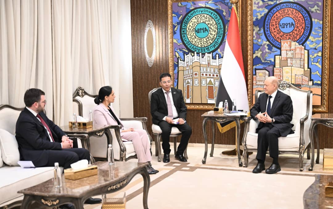العليمي: أمن البحر الأحمر وباب المندب يبدأ باستعادة الدولة اليمنية