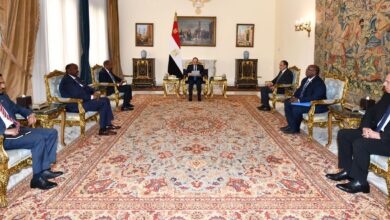 الرئيس المصري يستقبل النائب الأول لرئيس مجلس الوزراء الكويتى