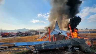 تحطم طائرة ركاب تقل 181 شخصاً خلال هبوطها في مطار بكوريا الجنوبية 10 تحطم طائرة ركاب تقل 181 شخصاً خلال هبوطها في مطار بكوريا الجنوبية