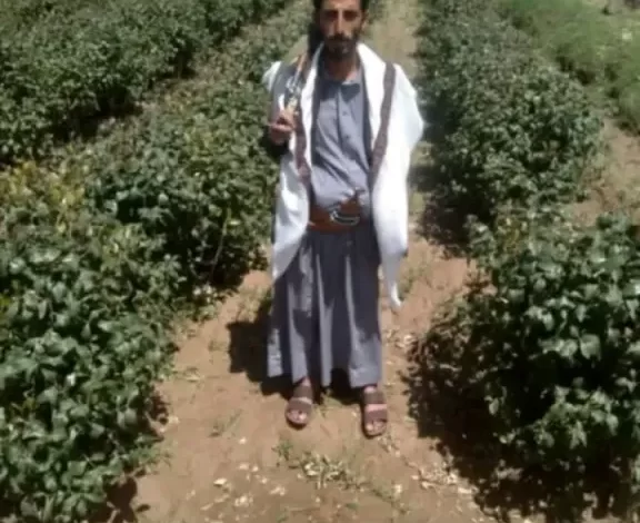 صنعاء.. مقتل حارس مزرعة برصاص مسلحين مجهولين في أرحب 1 صنعاء.. مقتل حارس مزرعة برصاص مسلحين مجهولين في أرحب