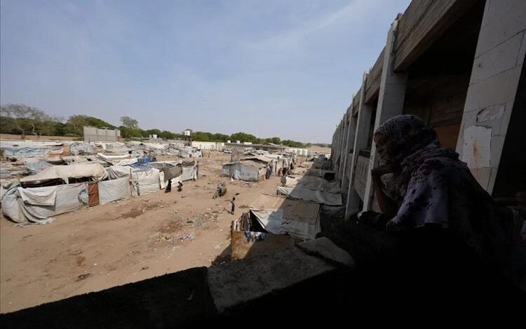 6.2 مليون امرأة وفتاة في اليمن يواجهن خطر العنف 1 6.2 مليون امرأة وفتاة في اليمن يواجهن خطر العنف
