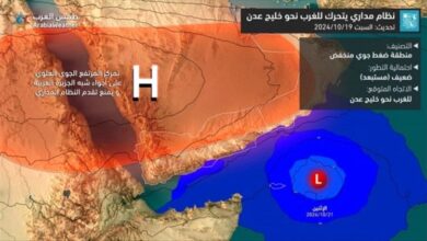 توقعات بتوجه المنخفض الاستوائي إلى أرخبيل سقطرى 5