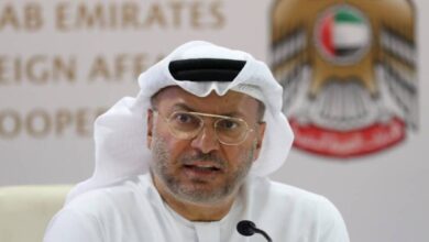مستشار الإمارات: اجماع عربي على وحدة سوريا خالية من الإرهاب 8 مستشار الإمارات: اجماع عربي على وحدة سوريا خالية من الإرهاب