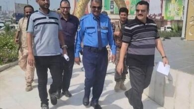 تشغيل تجريبي لإشارات المرور في المنصورة تمهيداً لإطلاقها رسمياً