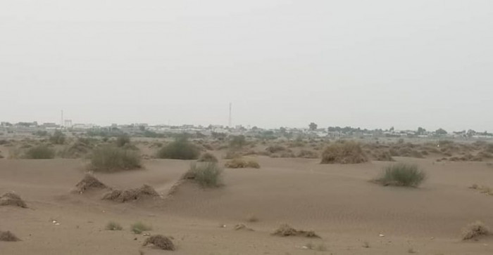 الحديدة .. مصرع 6 حوثيين في كمين للمشتركة بالتحيتا 1 الحديدة .. مصرع 6 حوثيين في كمين للمشتركة بالتحيتا