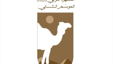المهرة تستعد لإطلاق مهرجان المزاينة الإبل الثاني وسط حماس شعبي واسع