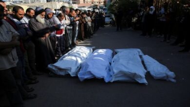 ارتفاع حصيلة ضحايا العدوان الإسرائيلي على غزة إلى 43712 شهيداً 7 ارتفاع حصيلة ضحايا العدوان الإسرائيلي على غزة إلى 43712 شهيداً