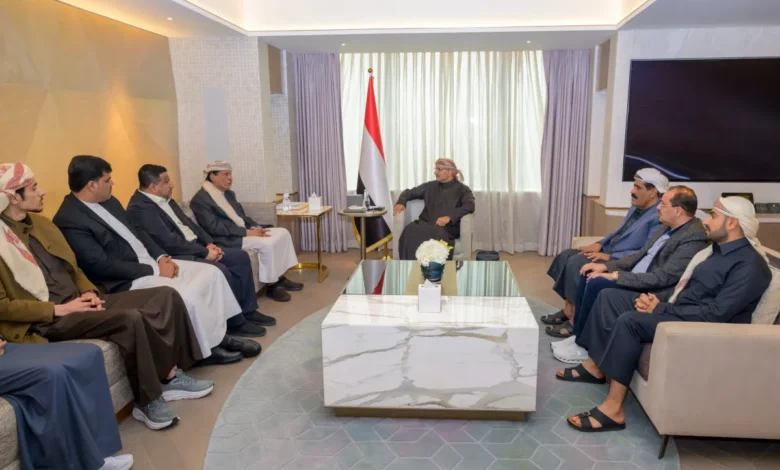 طارق صالح ومحافظ المهرة يبحثان تعزيز الأمن والاستقرار 1 طارق صالح ومحافظ المهرة يبحثان تعزيز الأمن والاستقرار