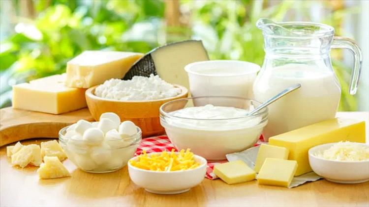 دراسة جديدة تكشف: منتجات الألبان تحصّن القلب وتقلل من خطر السرطان والسكري