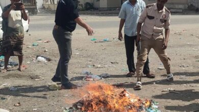 المنصورة تشن حملة واسعة لإزالة "شمة الحوت".. وتؤكد: لا تهاون مع المهددات الصحية
