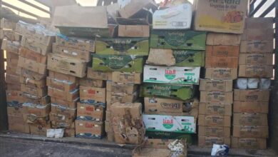 حملة رقابية في عتق تضبط وتُتلف طناً من الزبادي الفاسد حفاظاً على صحة المواطنين