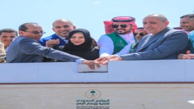 وضع حجر الأساس لمشروع كليات الطب والصيدلة والتمريض بجامعة تعز 9 وضع حجر الأساس لمشروع كليات الطب والصيدلة والتمريض بجامعة تعز