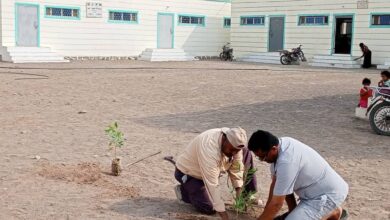 مدير تربية الحديدة يدشن مبادرة لتشجير مدارس الخوخة