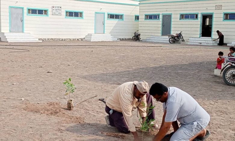 مدير تربية الحديدة يدشن مبادرة لتشجير مدارس الخوخة