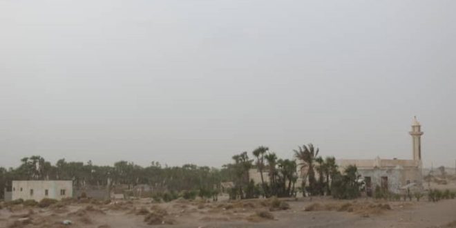 الحديدة.. مليشيات الحوثي تعاود استهداف الفازة والجبلية