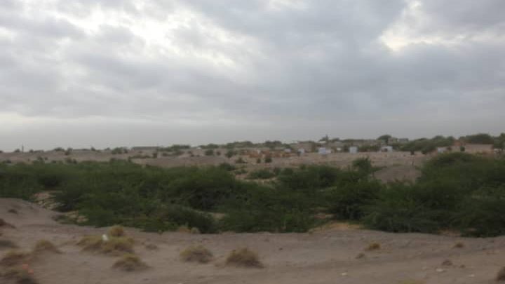 مليشيات الحوثي تستهدف قرى ومزارع المواطنين في الجبلية 1 مليشيات الحوثي تستهدف قرى ومزارع المواطنين في الجبلية
