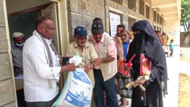 إختتام مشروع توزيع مدخلات بذور الذرة الرفيعة والأدوات الزراعية الأولية لـ500 مزارع في حيس