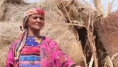 معاناة أكثر من 150 أسرة نازحة في مخيم النهاري جنوب الحديدة