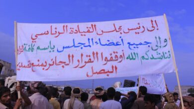 مزارعو البصل في تهامة يرفضون قرار وقف التصدير الجائر