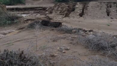 سيول الامطار تجتاح قرى وادي عرفان بالخوخة