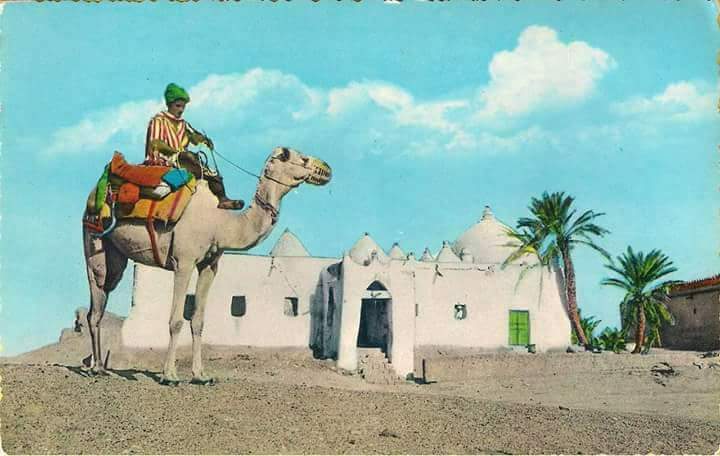 "الهاشمي" في عدن .. تسمية لأحد علماء تهامة