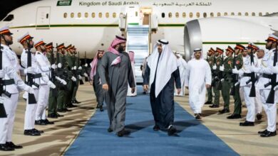 الرئيس الإماراتي يستقبل ولي العهد السعودي بقصر الروضة 7 الرئيس الإماراتي يستقبل ولي العهد السعودي بقصر الروضة