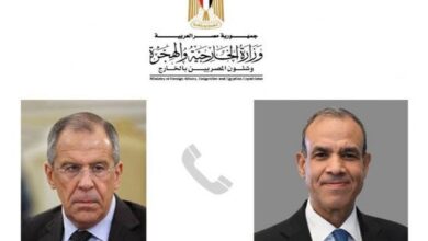 المستجدات في سوريا محل اهتمام مصري - روسي
