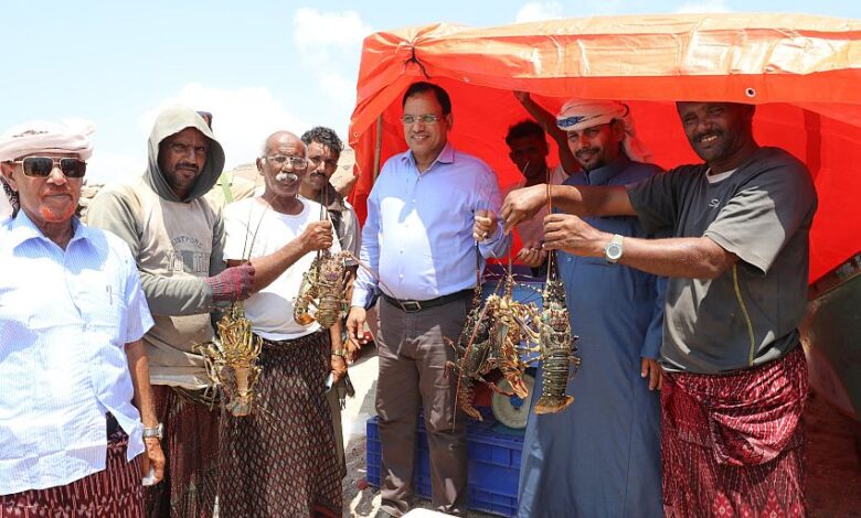 إنتاج أكثر من 12 طنًا في اليوم الأول.. تدشين موسم صيد الشروخ الصخري في سقطرى 1 إنتاج أكثر من 12 طنًا في اليوم الأول.. تدشين موسم صيد الشروخ الصخري في سقطرى
