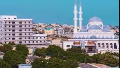 الجيش الصومالي يقتل 40 عنصرا لـ«داعش» ومأساة تطال أطفالاً في مقديشو