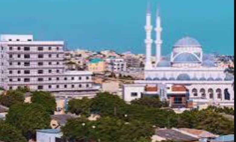 الجيش الصومالي يقتل 40 عنصرا لـ«داعش» ومأساة تطال أطفالاً في مقديشو