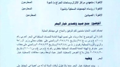 الهيئة العامة للمصائد في شبوة تحظر صيد خيار البحر لضمان الاستدامة