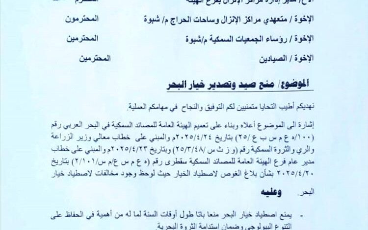 الهيئة العامة للمصائد في شبوة تحظر صيد خيار البحر لضمان الاستدامة
