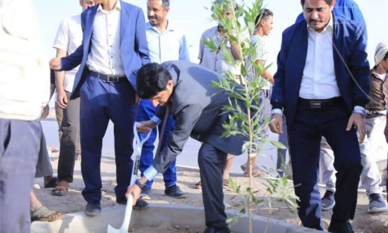 مأرب تدشن غرس 60 ألف شجرة لتحسين المظهر الحضري للمدينة 1 مأرب تدشن غرس 60 ألف شجرة لتحسين المظهر الحضري للمدينة