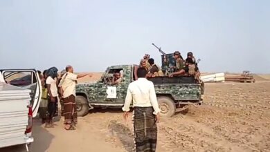 الحديدة.. حملة أمنية لإزالة اعتداءات على أراضي الدولة في الخوخة