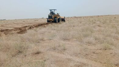 استمرار حملة إزالة الاعتداءات على الأراضي العامة في الخوخة