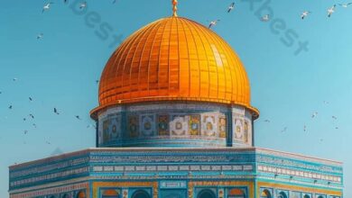 صحيفة إسرائيلية تعترف بحق الشعب الفلسطيني في إقامة دولته