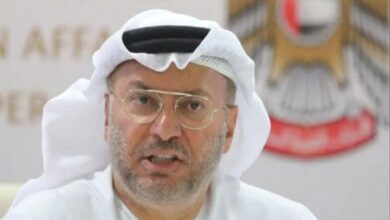 قرقاش: دولة الإمارات بذلت جهوداً كبيرة لتفادي الحرب في المنطقة