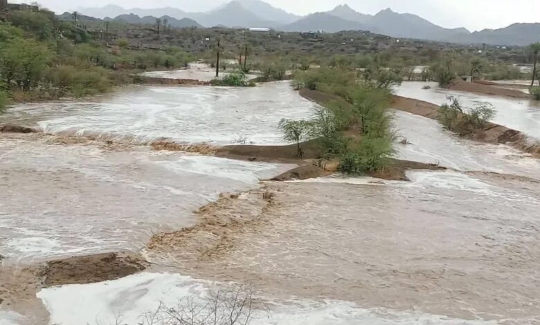 الوازعية.. السلطة المحلية تتحرك لتقييم أضرار السيول الجارفة 1 الوازعية.. السلطة المحلية تتحرك لتقييم أضرار السيول الجارفة