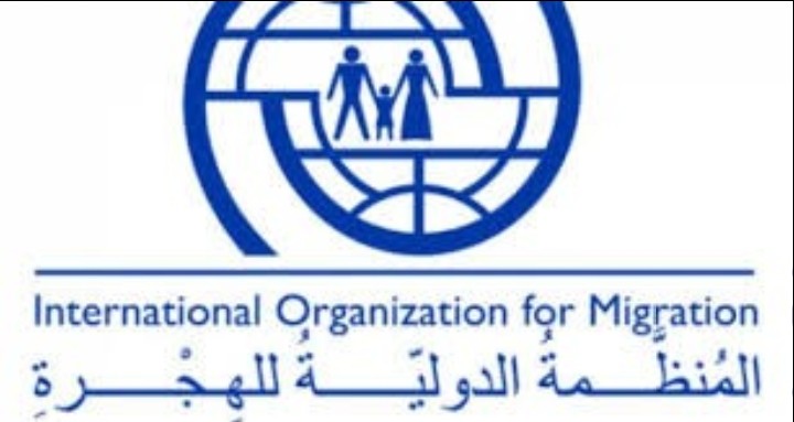 منظمة الهجرة الدولية تكشف عن نزوح 167 الف باليمن 1 منظمة الهجرة الدولية تكشف عن نزوح 167الف باليمن