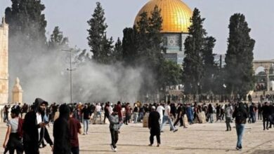 مستعمرون يقتحمون المسجد الأقصى المبارك بحماية قوات الاحتلال الإسرائيلي 6 مستعمرون يقتحمون المسجد الأقصى المبارك بحماية قوات الاحتلال الإسرائيلي