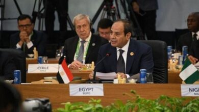 السيسي يدعو قمة العشرين لتدشين مركز عالمي لتخزين الحبوب بمصر