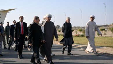 الرئيس الإماراتي يبحث مع رئيس وزراء باكستان تعزيز العلاقات الثنائية